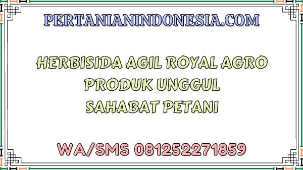 Herbisida Agil Royal Agro Produk Unggul Sahabat Petani